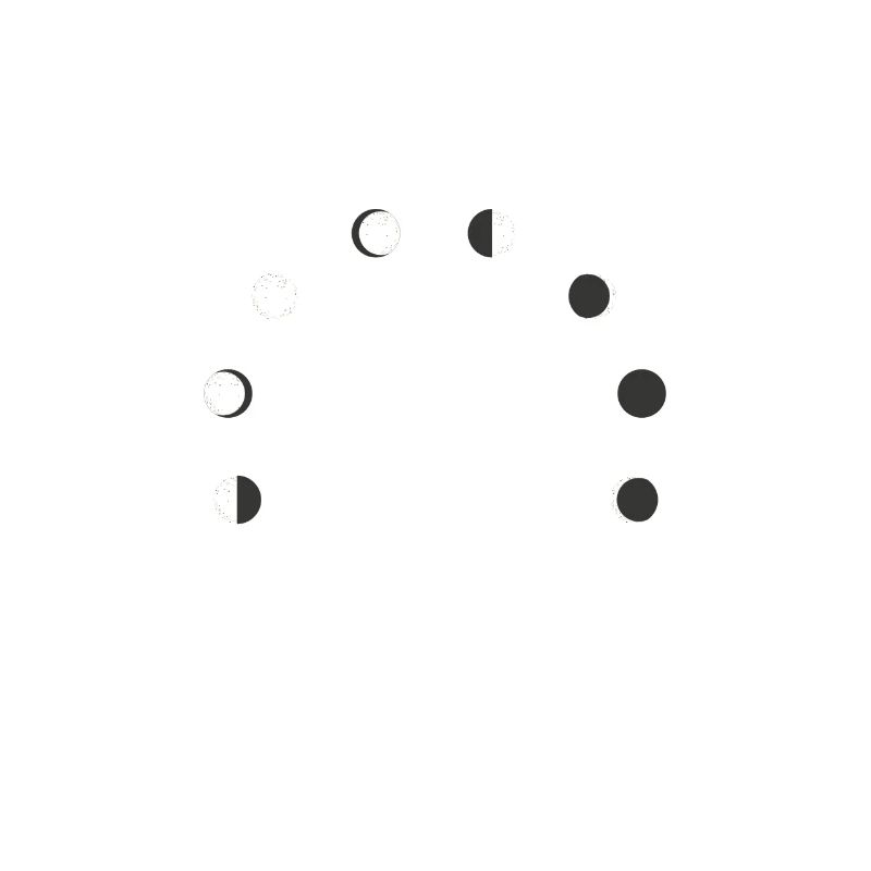 Funny Lunar Eclipse Moon Phase Moon Lovers gift