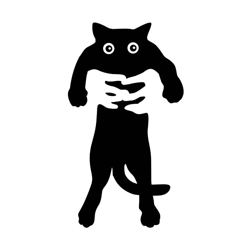 schwarze Katze