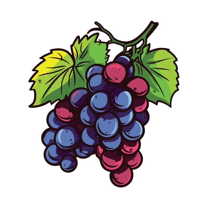 Weintrauben
