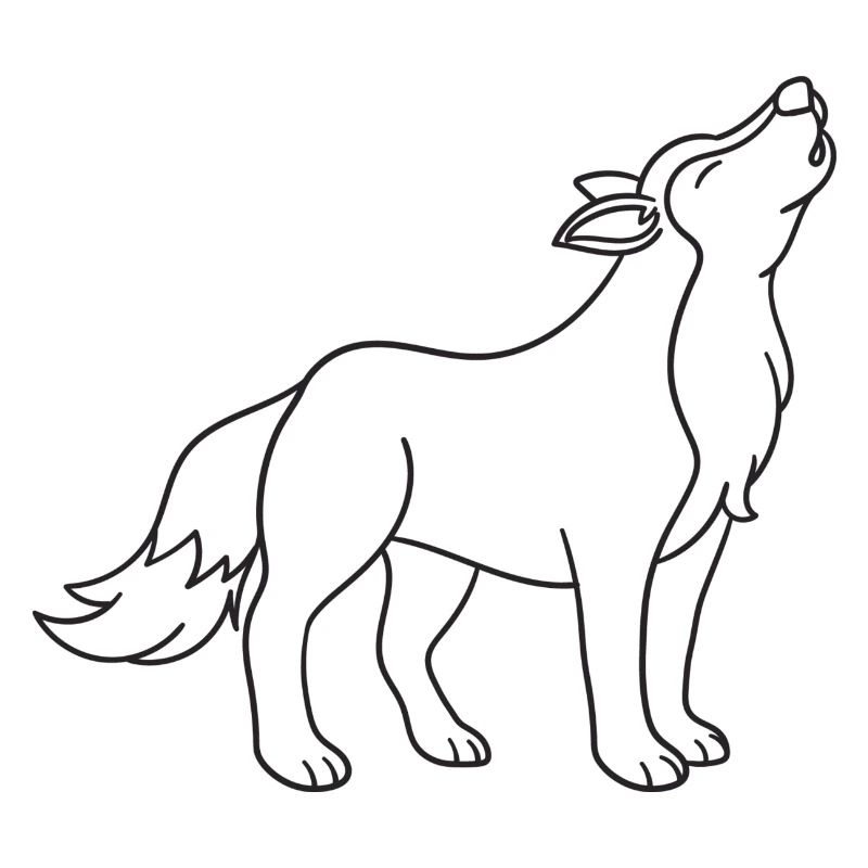 Wolf, Wölfe, Geschenk, Geschenkidee