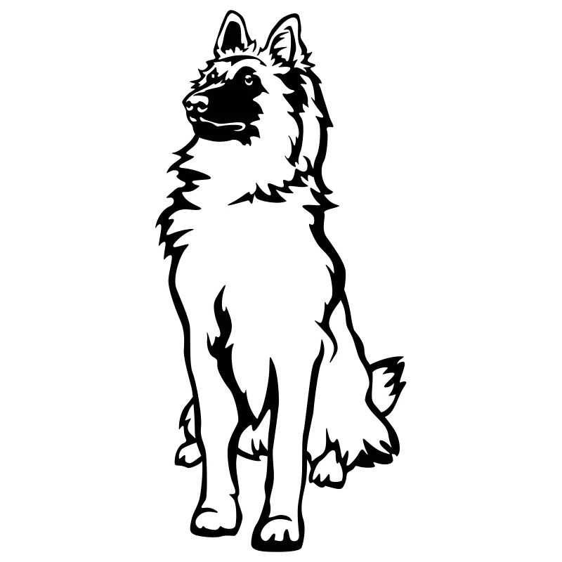 Tervuren