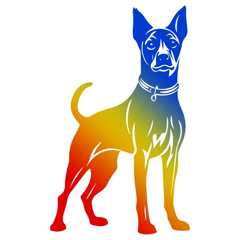 Pinscher Hund