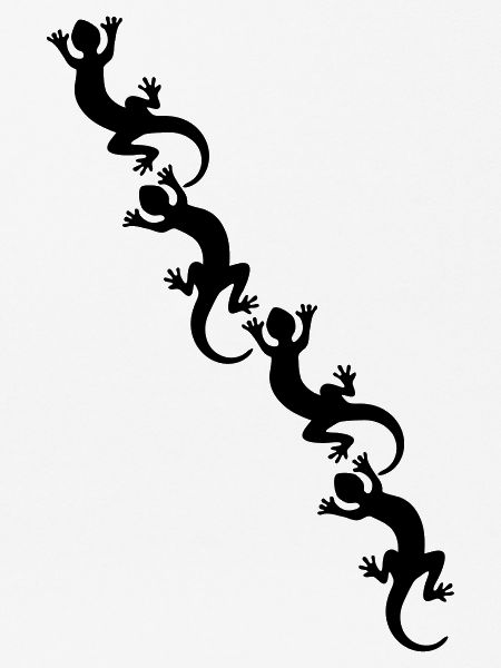 Lizards / Geckos / Echsen