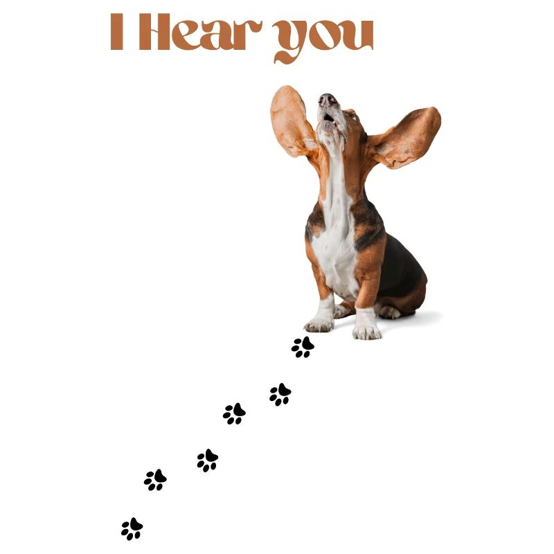 I Hear you