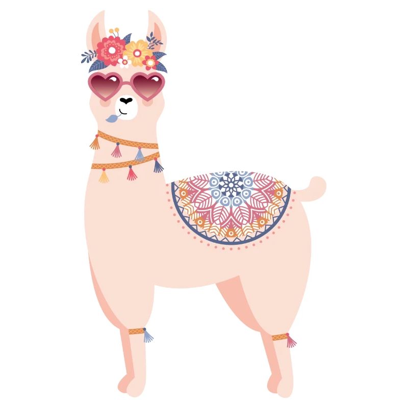 Boho Lama