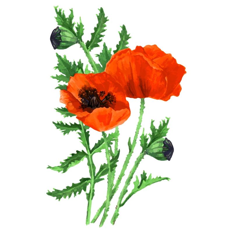 Blumen
