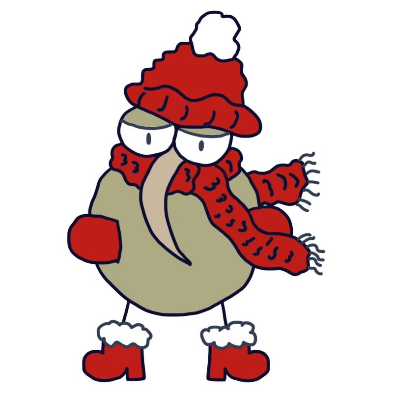 Weihnachts-Kiwi