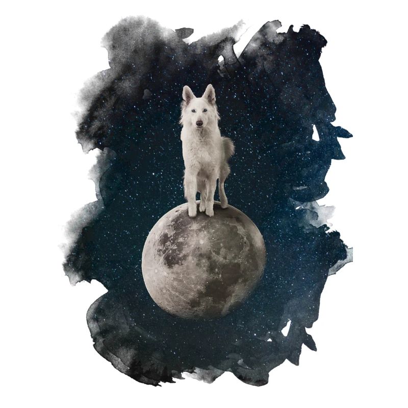 Mystical Wolf