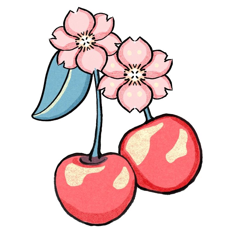 Kirschblüten Charme Illustration