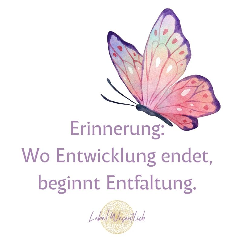 Entfaltung