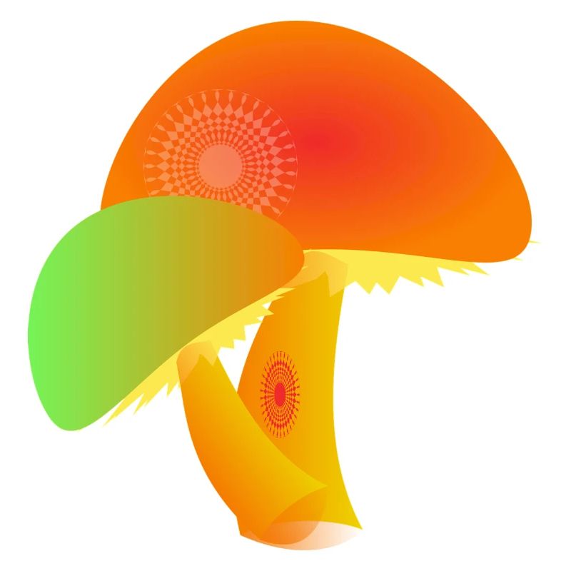 Pilze