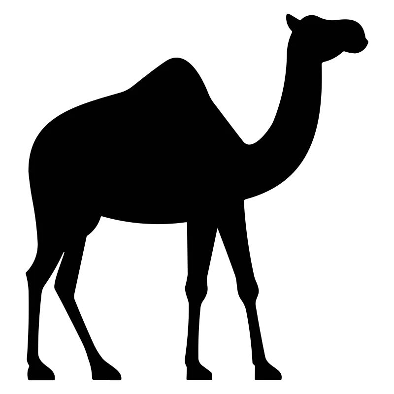 Camel