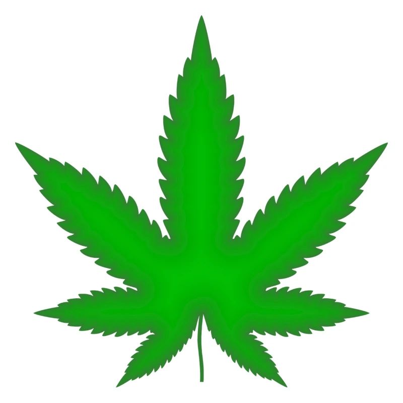 Marijuana leaf