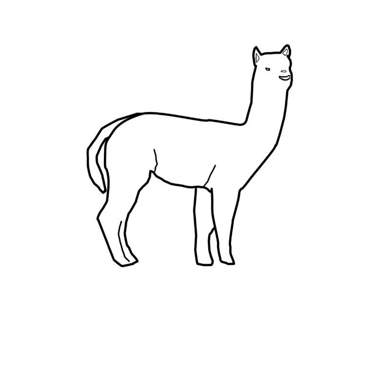 alpaka