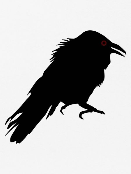 crow