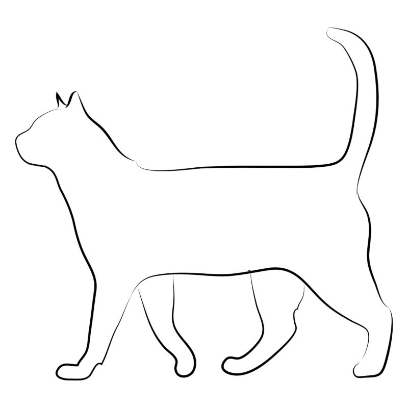 Poussins chat chats chat chats