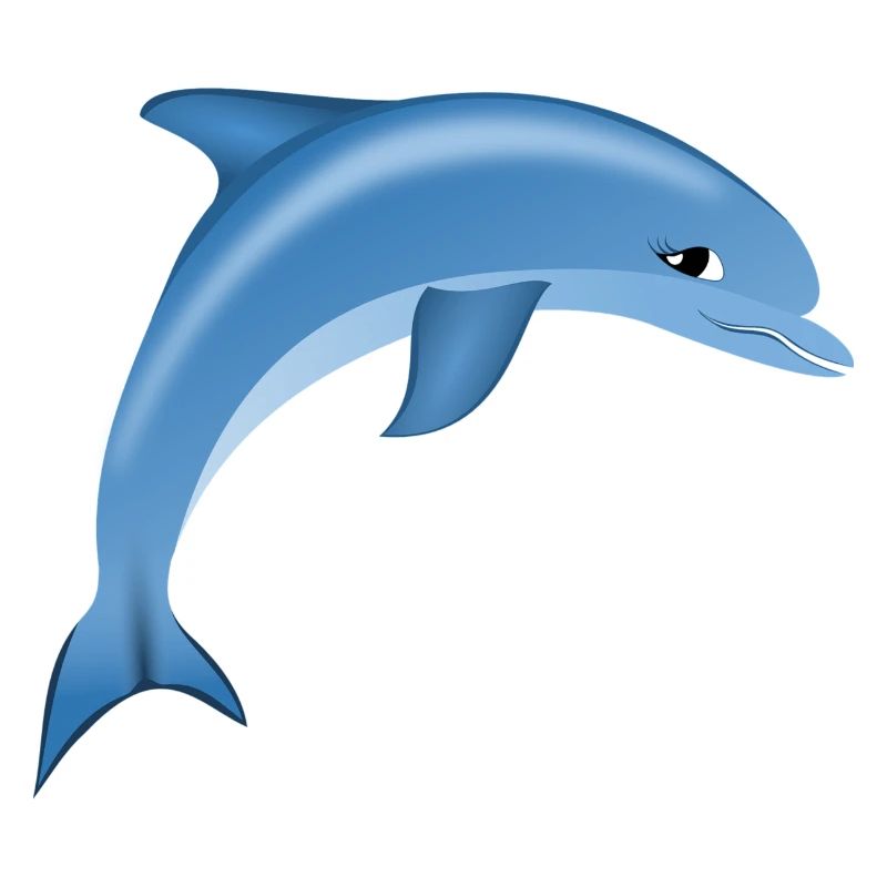 Blue Cute Dolphin