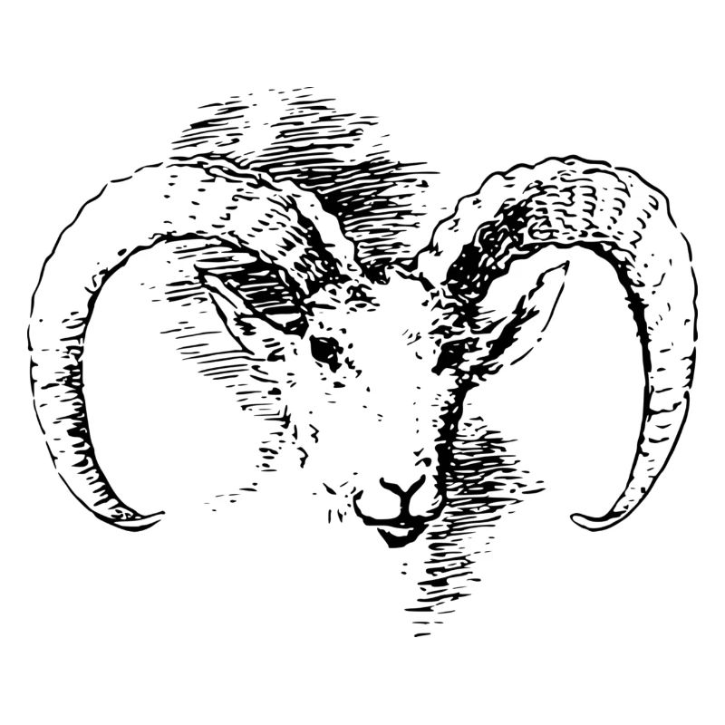 billy-goat