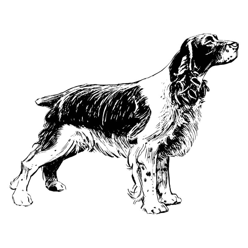 hound