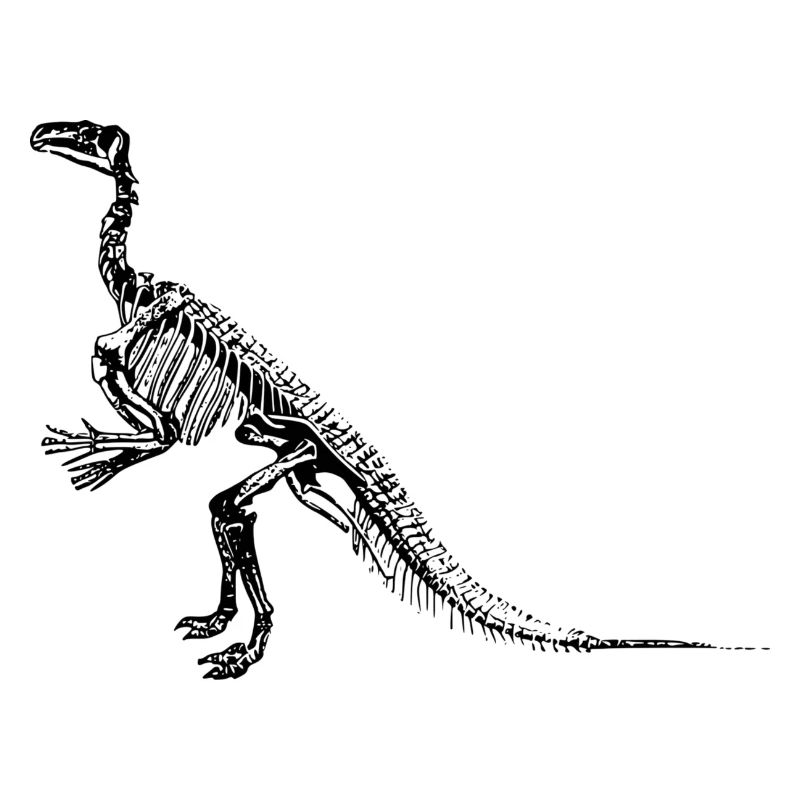 Dinosaurier