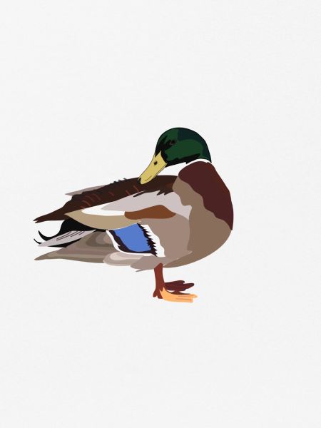 Ente