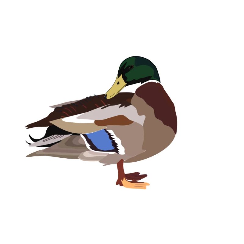 Ente