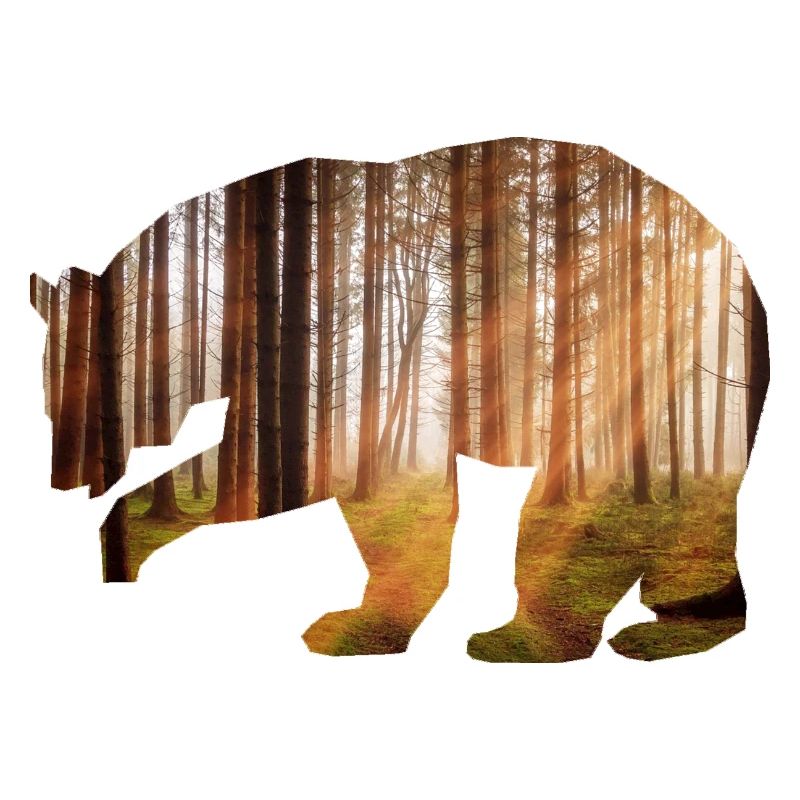 Bear Forest