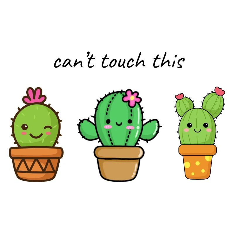 Mignons amis cactus dans le pot