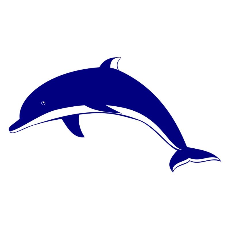 dolphin