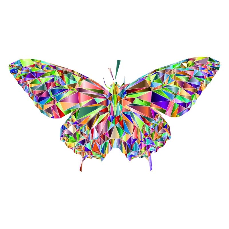 schmetterling