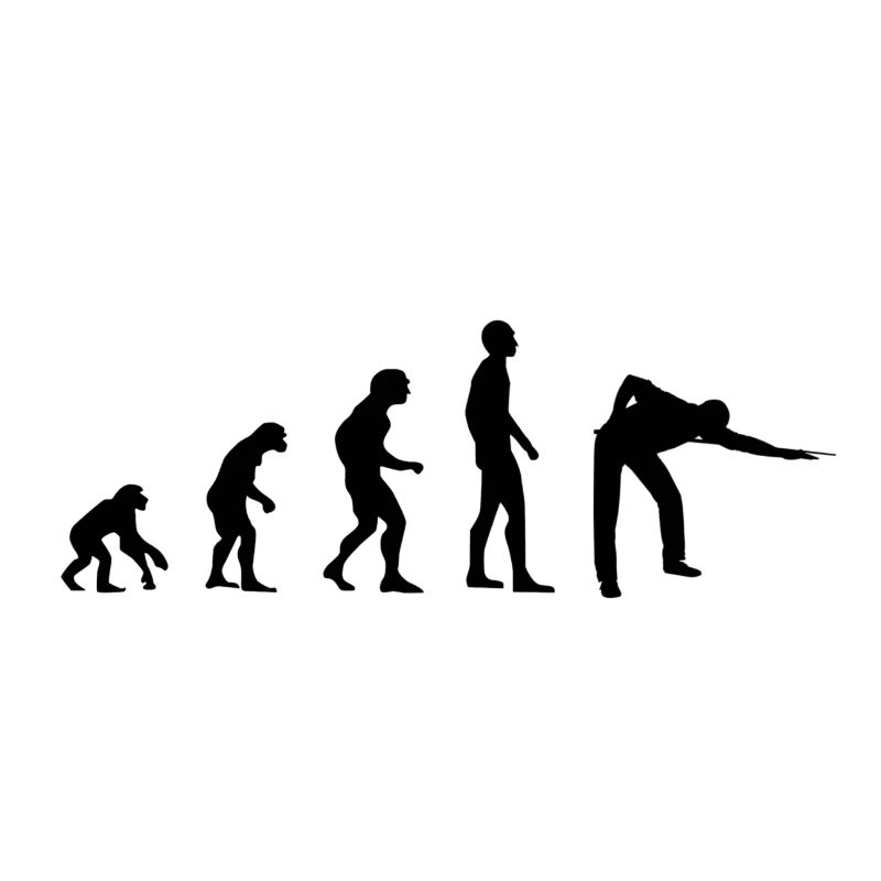 Evolution Billiard