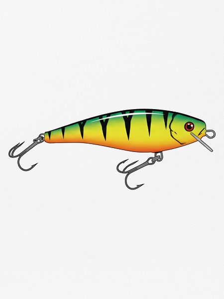 Wobbler Angeln Fischen