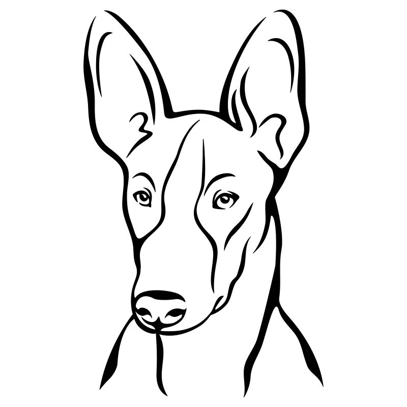 Podenco