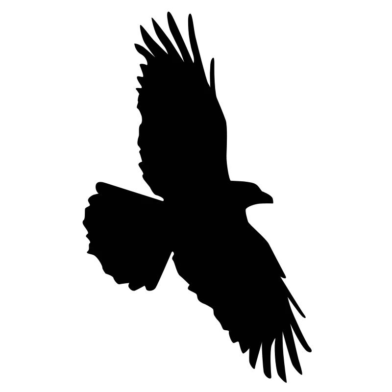 Rabenflug