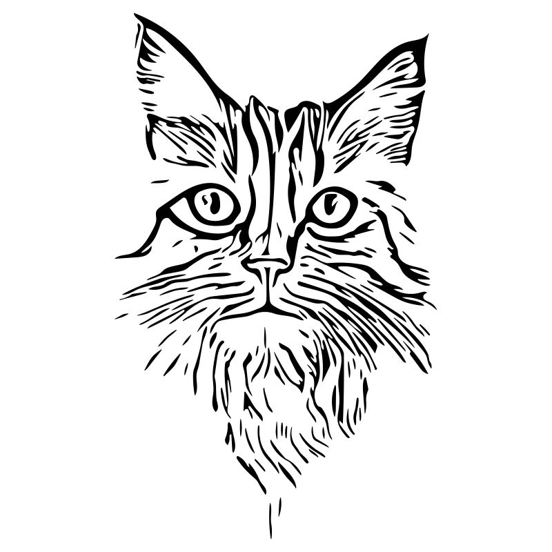 Katze - Vector