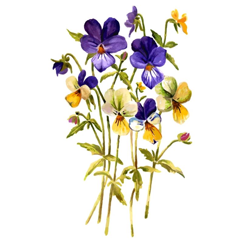 Neffe es Blumen