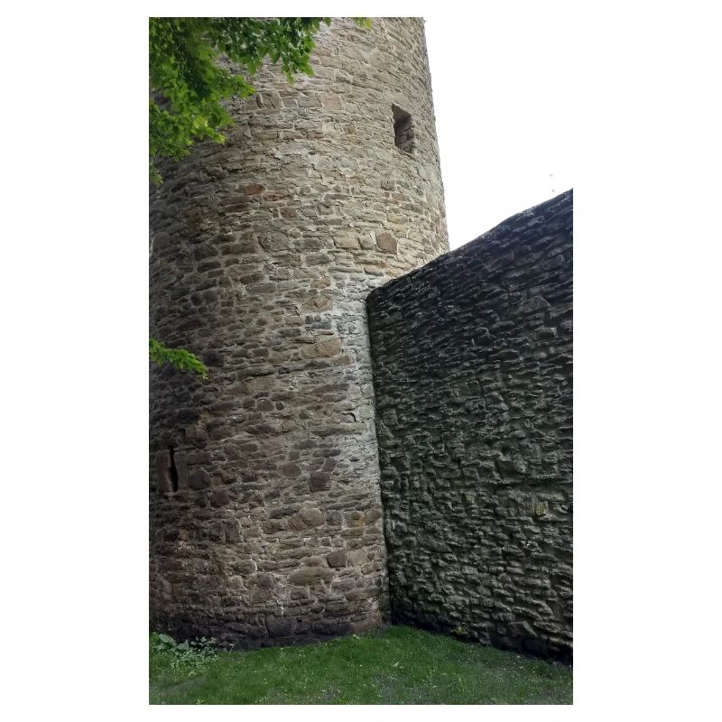 Burg Ruine