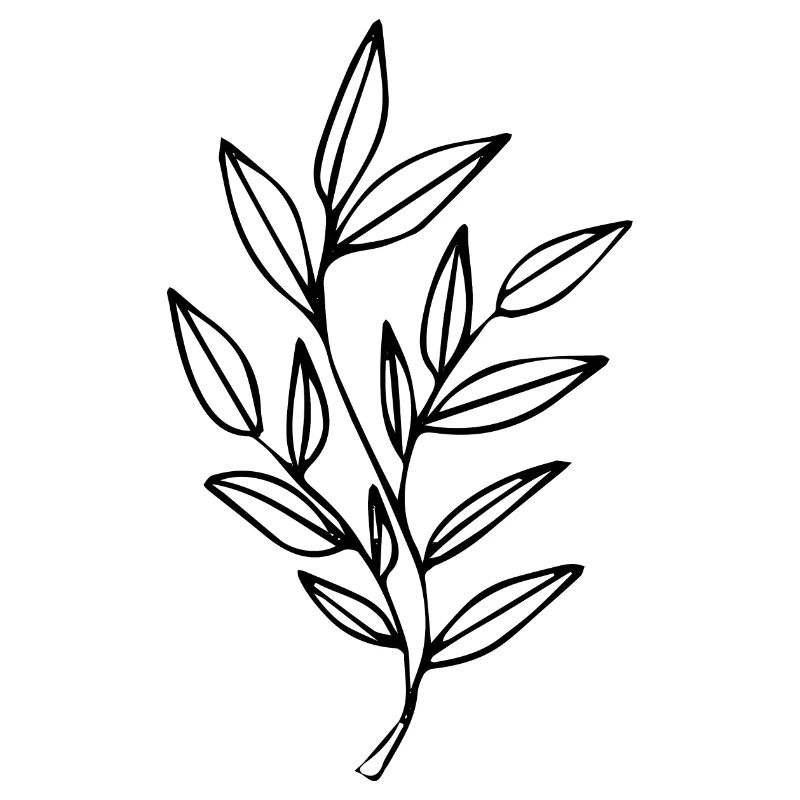 Flower Blume Pflanze