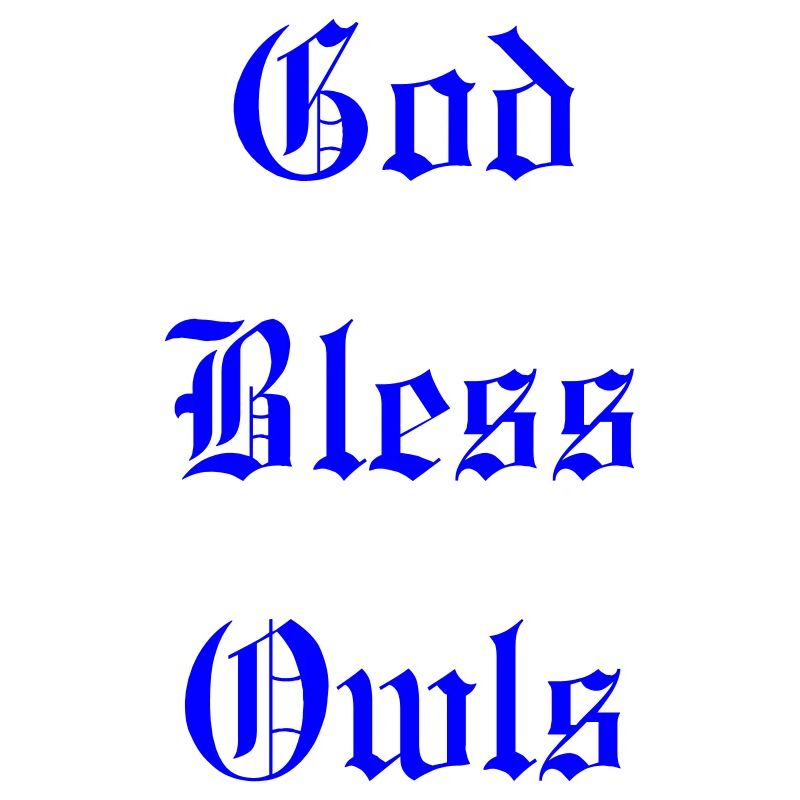 GodBlessOwls