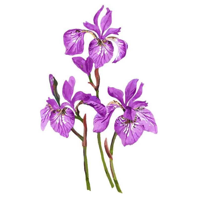 Blumen