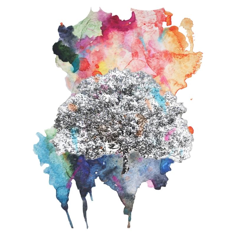 Explosion de couleur