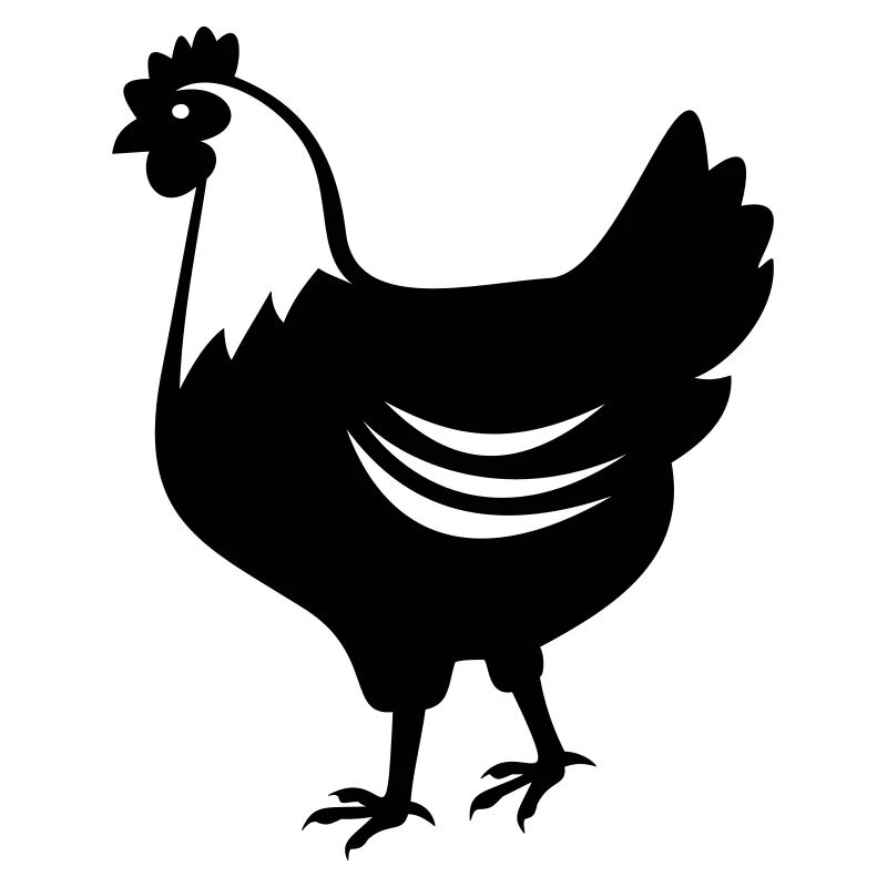 Chicken - hen