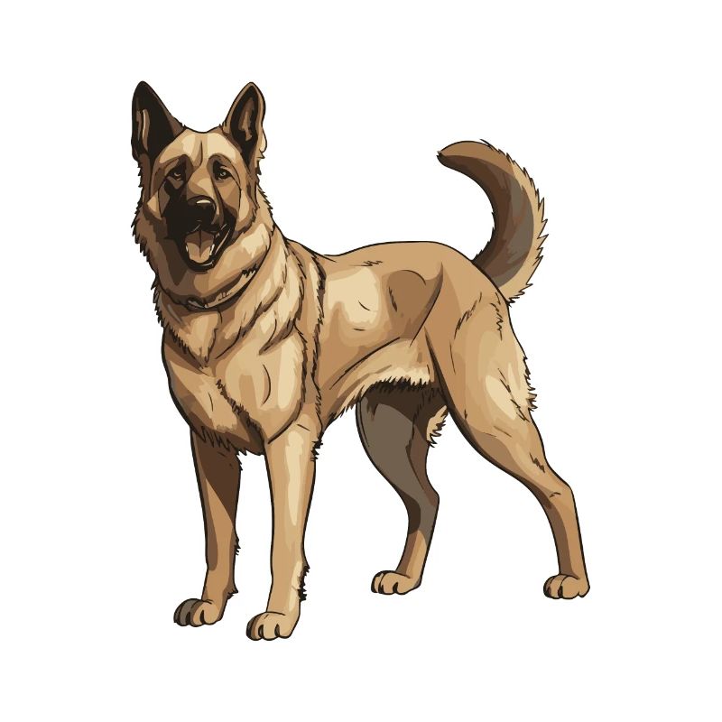 Schäferhund Hund