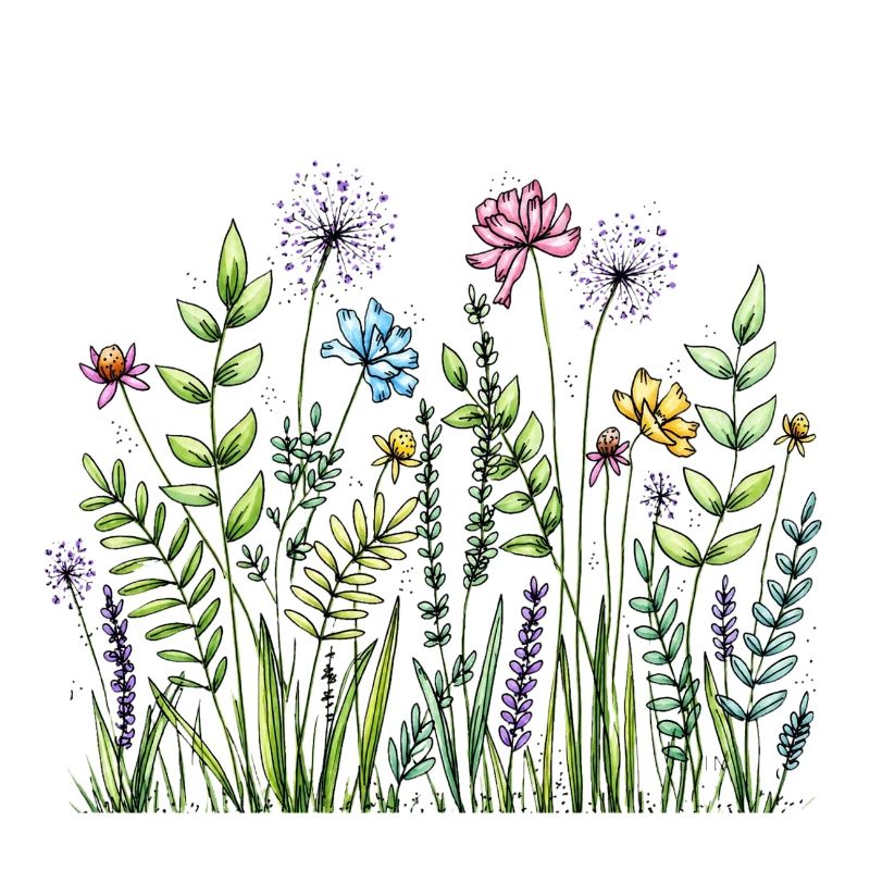 Wildblumenwiesen-Skizze
