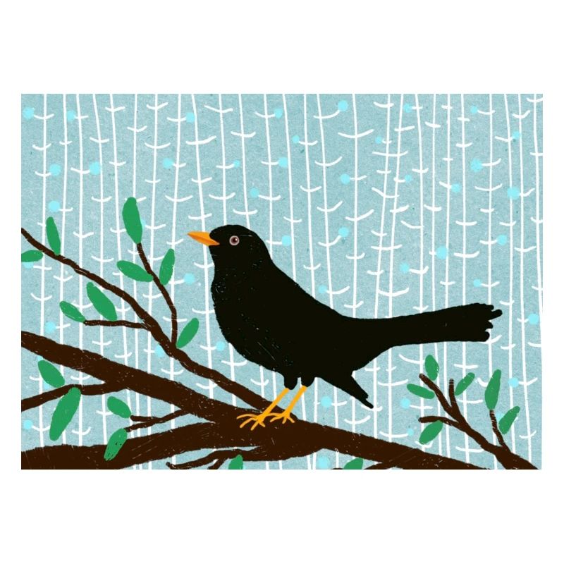 Amsel