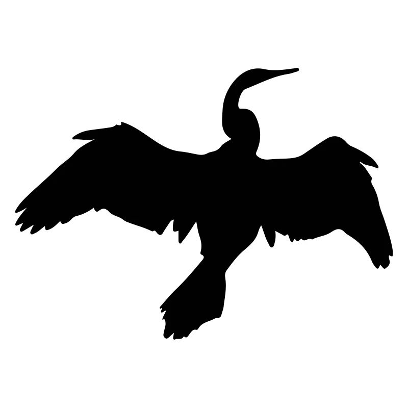 Kormoran