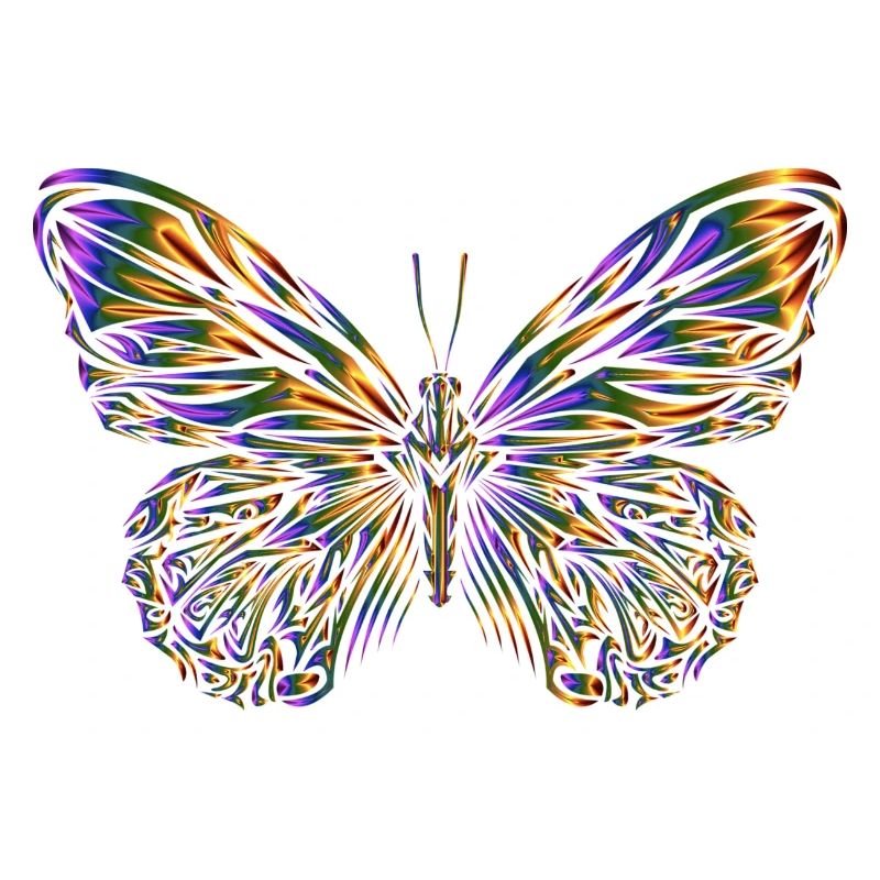 Schmetterling, Butterfly