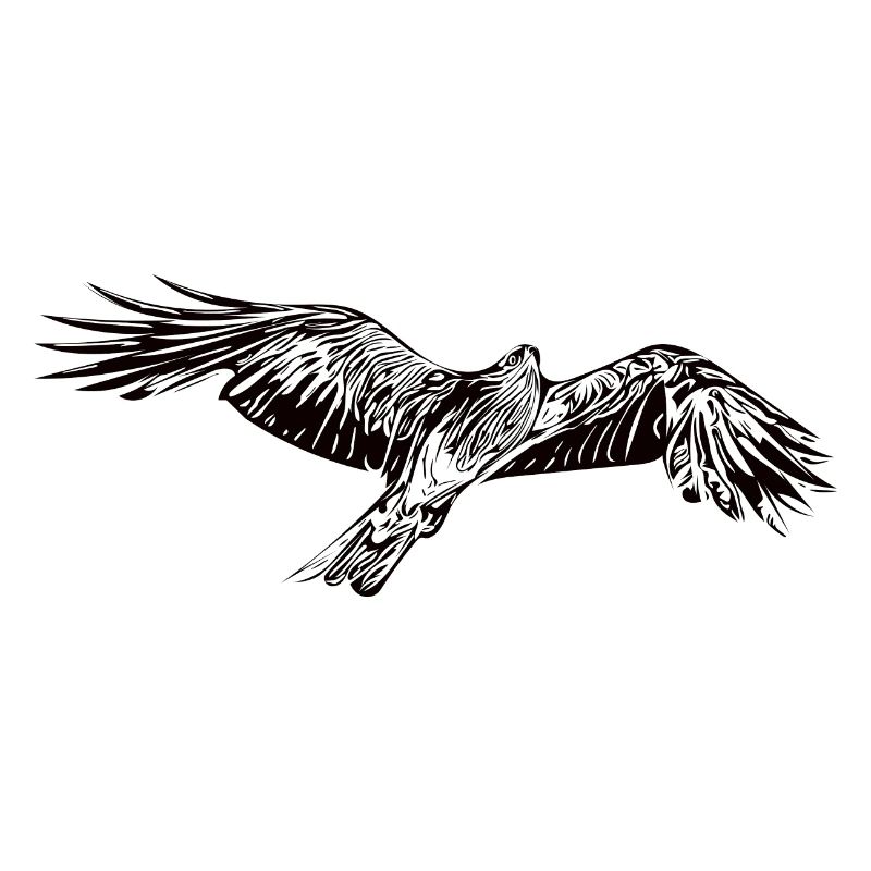 Eleganter fliegender Falke