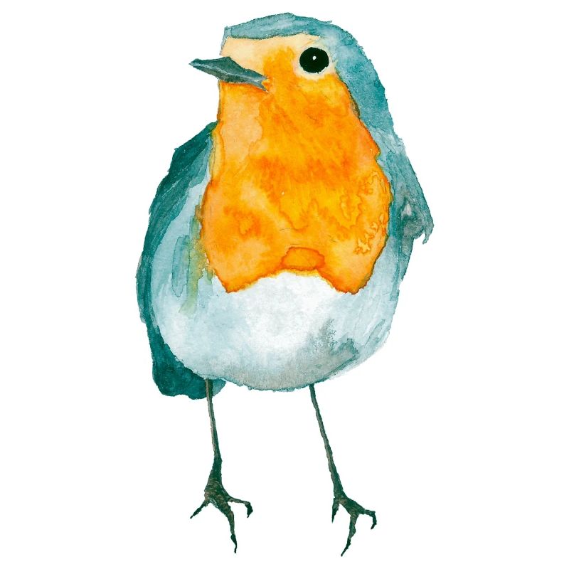 Rotkehlchen Aquarell