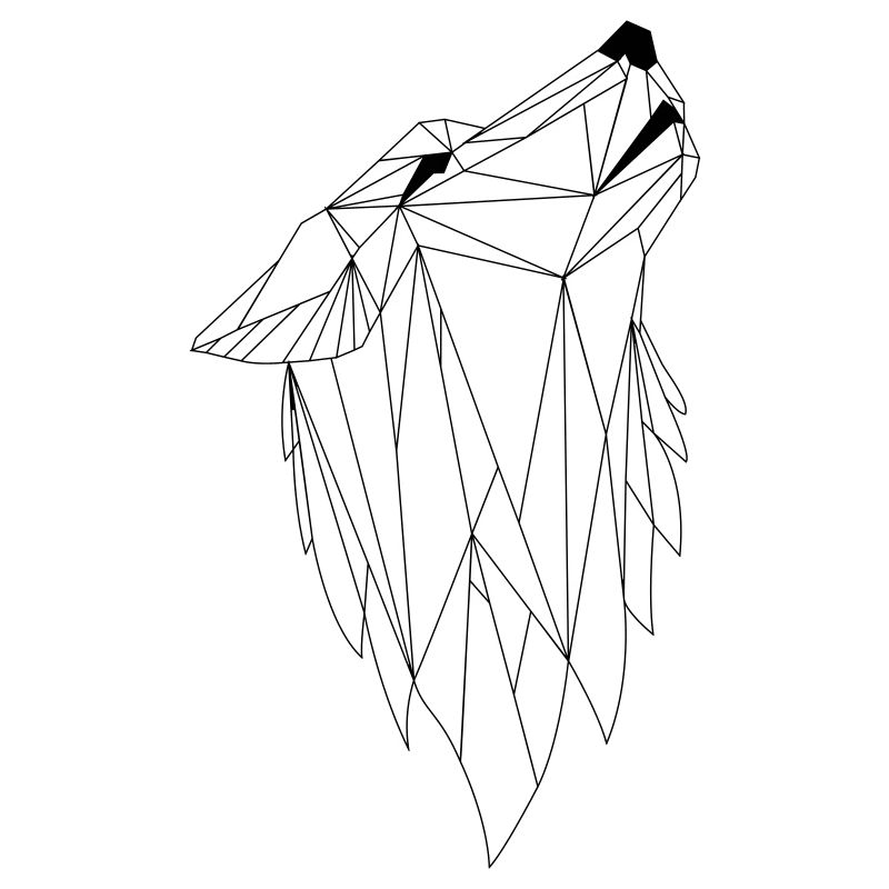 Geometrie Wolf